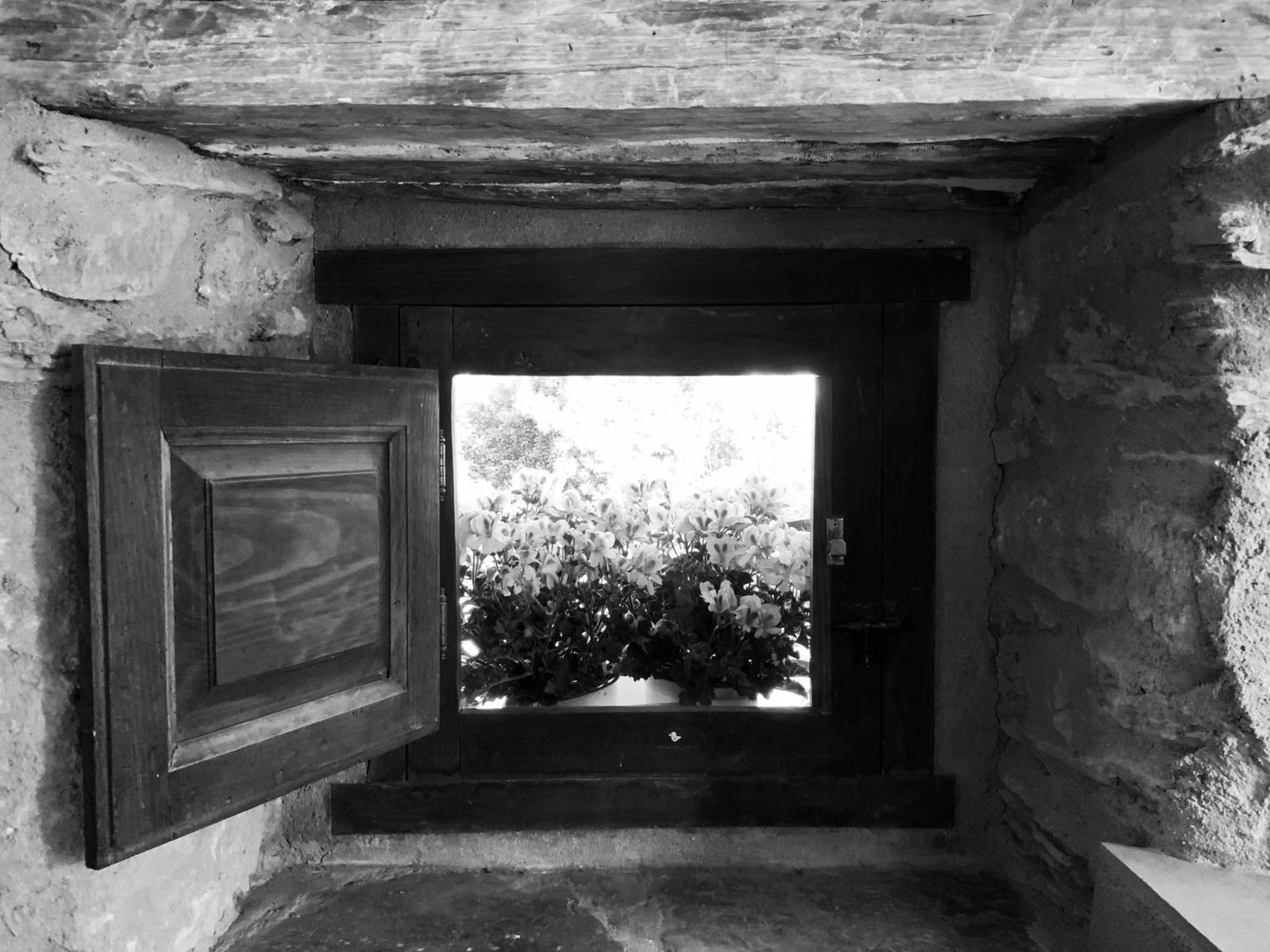 La Grulla Gris Guest House Perales del Puerto Exterior photo